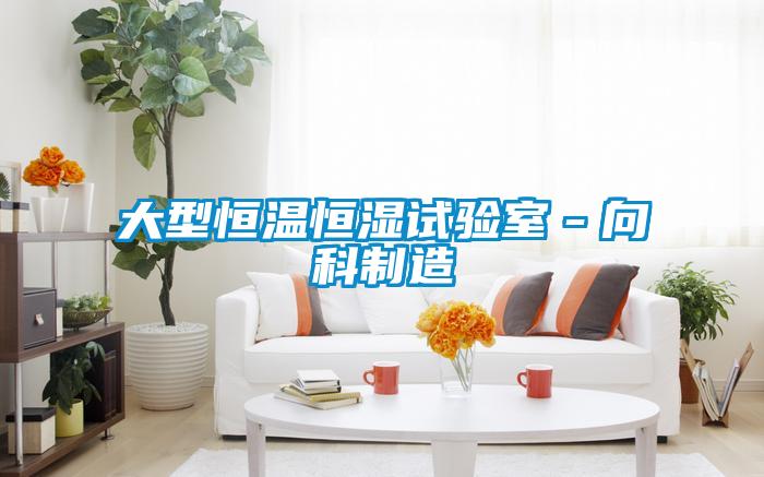 大型恒溫恒濕試驗(yàn)室－向科制造