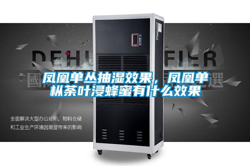 鳳凰單叢抽濕效果，鳳凰單樅荼葉浸蜂蜜有什么效果