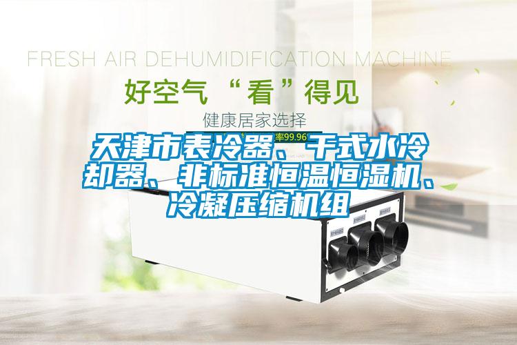天津市表冷器、干式水冷卻器、非標(biāo)準(zhǔn)恒溫恒濕機(jī)、冷凝壓縮機(jī)組