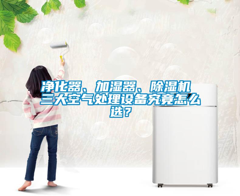 凈化器、加濕器、除濕機(jī) 三大空氣處理設(shè)備究竟怎么選？