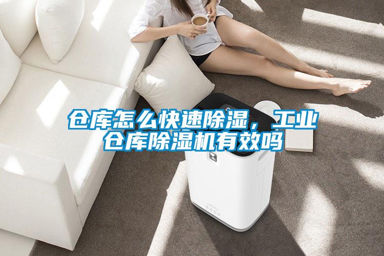 倉庫怎么快速除濕,工業(yè)倉庫除濕機有效嗎