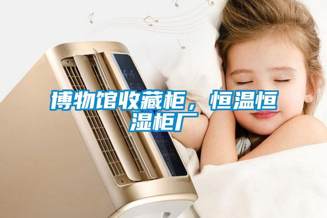 博物館收藏柜，恒溫恒濕柜廠