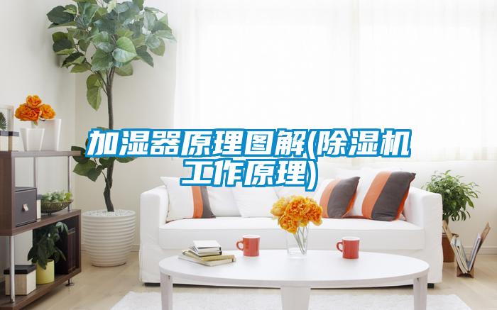 加濕器原理圖解(除濕機(jī)工作原理)