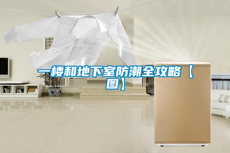 一樓和地下室防潮全攻略【圖】