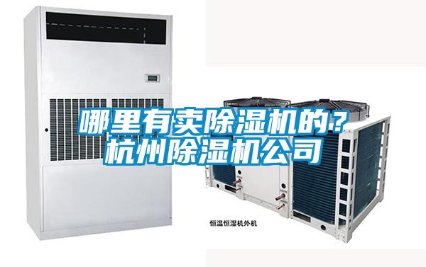 哪里有賣除濕機的？杭州除濕機公司