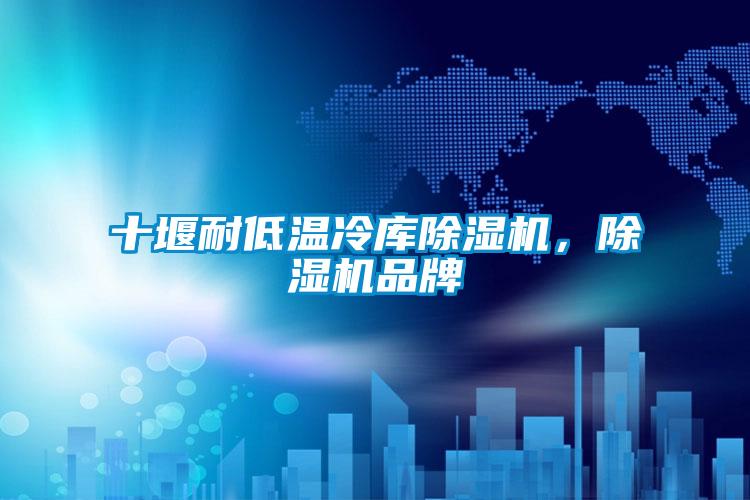 十堰耐低溫冷庫除濕機(jī)，除濕機(jī)品牌