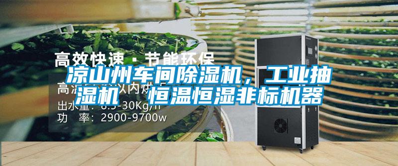 涼山州車間除濕機,工業(yè)抽濕機 恒溫恒濕非標機器