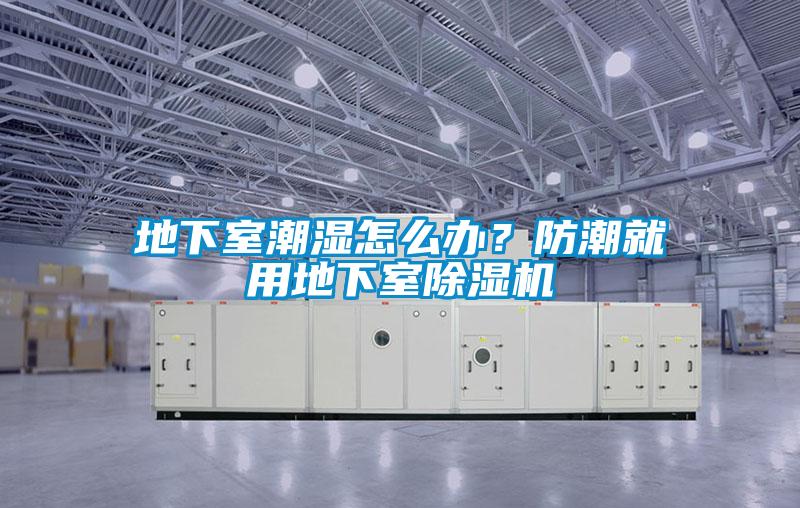 地下室潮濕怎么辦？防潮就用地下室除濕機(jī)