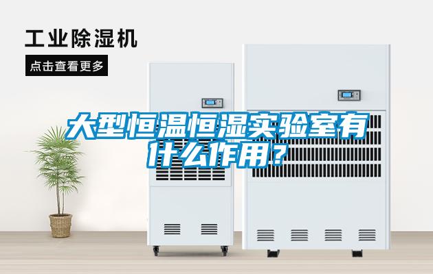 大型恒溫恒濕實驗室有什么作用？