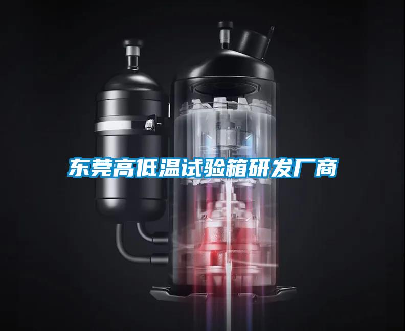 東莞高低溫試驗(yàn)箱研發(fā)廠商