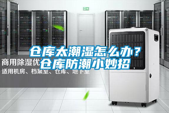 倉(cāng)庫(kù)太潮濕怎么辦？倉(cāng)庫(kù)防潮小妙招
