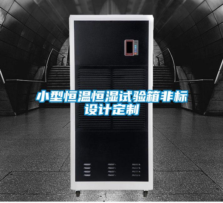 小型恒溫恒濕試驗箱非標(biāo)設(shè)計定制