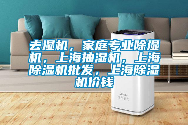 去濕機，家庭專業(yè)除濕機，上海抽濕機，上海除濕機批發(fā)，上海除濕機價錢