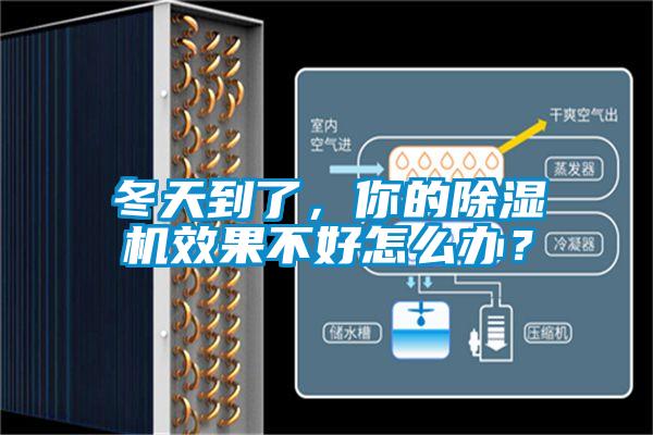 冬天到了，你的除濕機(jī)效果不好怎么辦？