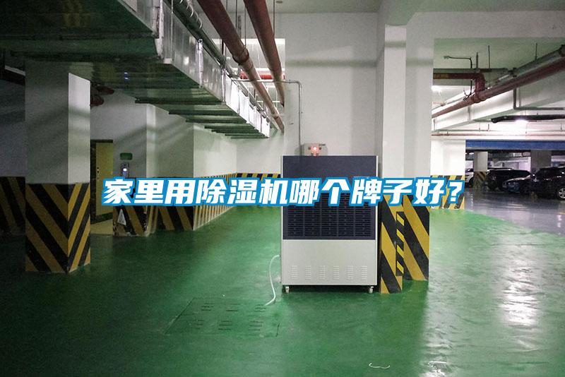 家里用除濕機哪個牌子好？