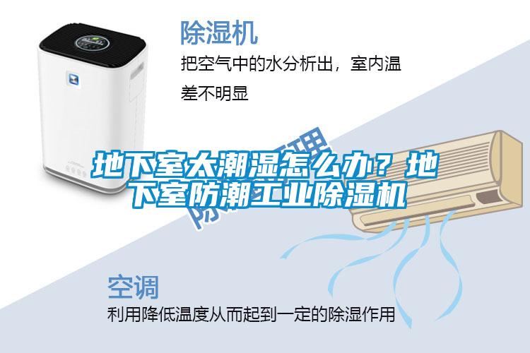 地下室太潮濕怎么辦？地下室防潮工業(yè)除濕機(jī)