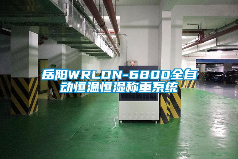 岳陽(yáng)WRLDN-6800全自動(dòng)恒溫恒濕稱重系統(tǒng)