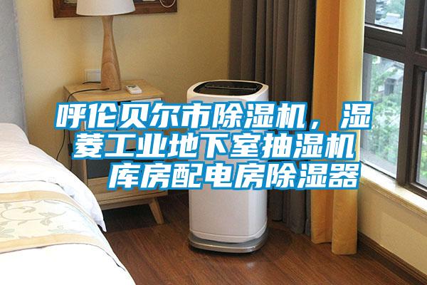 呼倫貝爾市除濕機(jī)，濕菱工業(yè)地下室抽濕機(jī)  庫(kù)房配電房除濕器