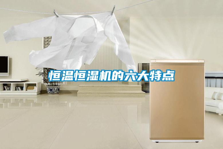 恒溫恒濕機(jī)的六大特點