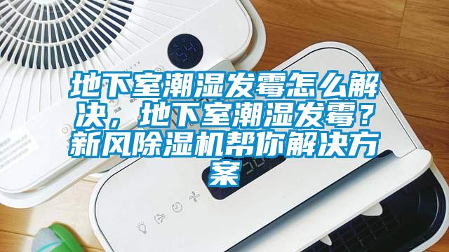 地下室潮濕發(fā)霉怎么解決，地下室潮濕發(fā)霉？新風(fēng)除濕機(jī)幫你解決方案