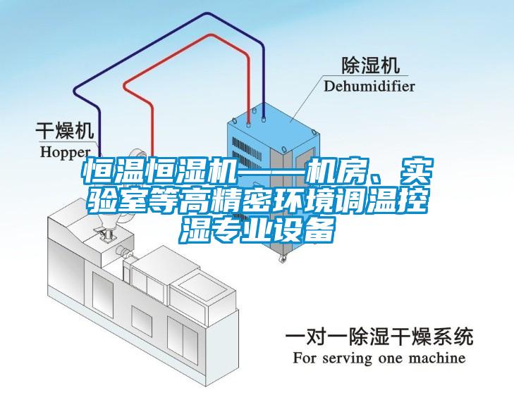 恒溫恒濕機——機房、實驗室等高精密環(huán)境調(diào)溫控濕專業(yè)設備