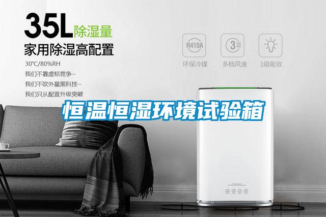 恒溫恒濕環(huán)境試驗(yàn)箱