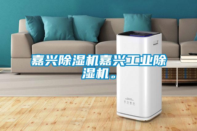 嘉興除濕機(jī)嘉興工業(yè)除濕機(jī)。