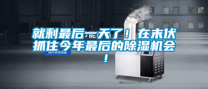 就剩最后一天了！在末伏抓住今年最后的除濕機會！