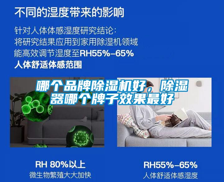 哪個品牌除濕機好，除濕器哪個牌子效果最好