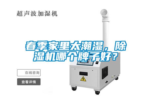 春季家里太潮濕，除濕機哪個牌子好？