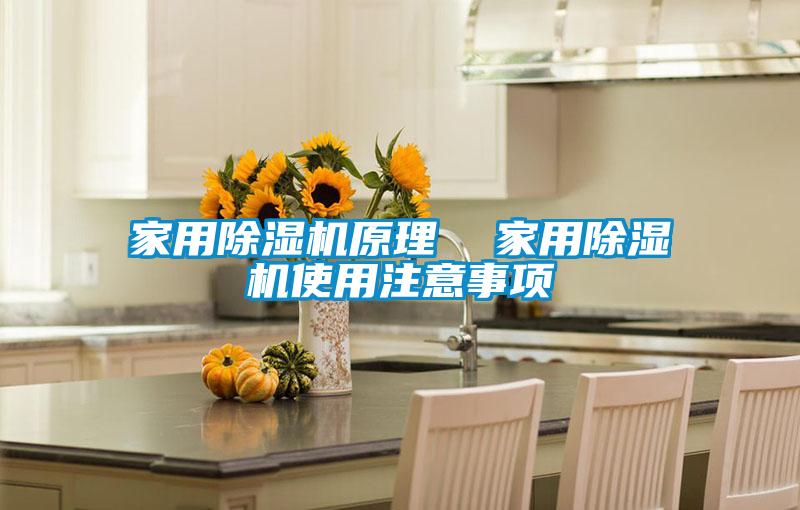 家用除濕機(jī)原理  家用除濕機(jī)使用注意事項(xiàng)