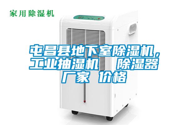 屯昌縣地下室除濕機(jī)，工業(yè)抽濕機(jī)  除濕器廠家 價格