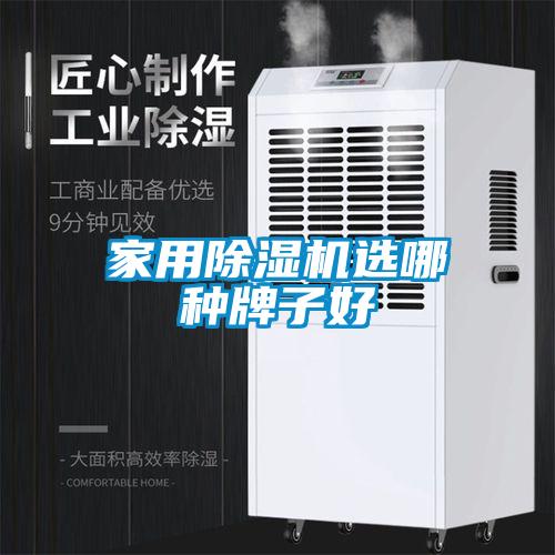 家用除濕機(jī)選哪種牌子好