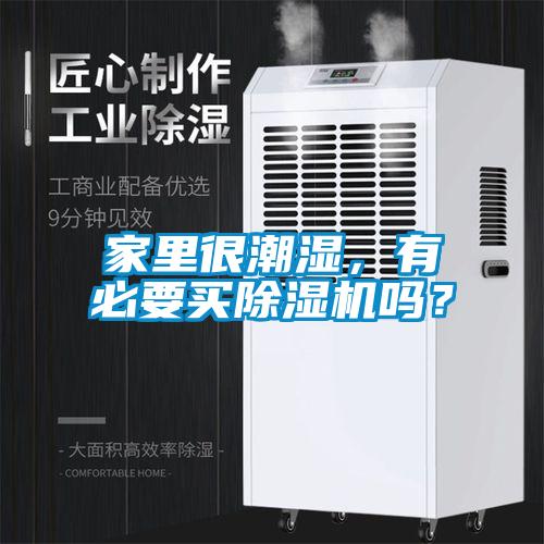 家里很潮濕，有必要買除濕機嗎？
