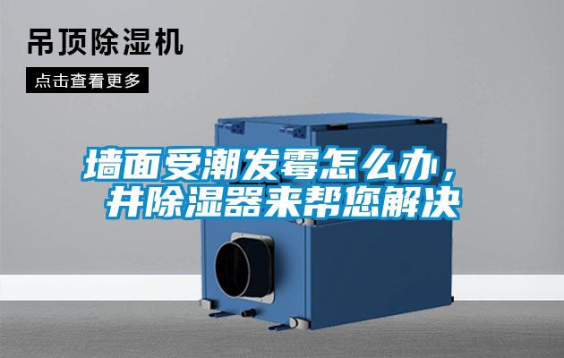 墻面受潮發(fā)霉怎么辦，東井除濕器來(lái)幫您解決