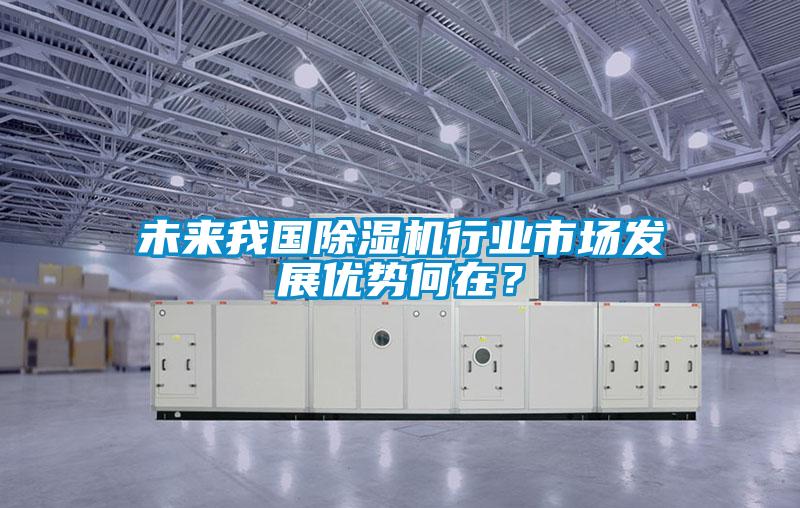 未來我國除濕機行業(yè)市場發(fā)展優(yōu)勢何在？