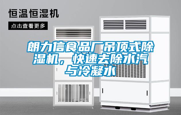 朗力信食品廠吊頂式除濕機(jī)，快速去除水汽與冷凝水