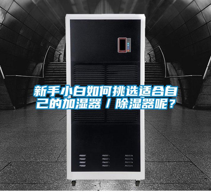 新手小白如何挑選適合自己的加濕器／除濕器呢？