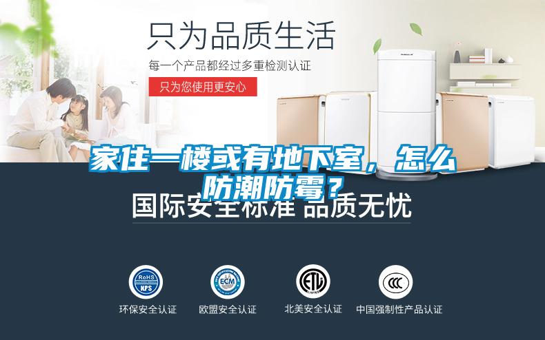 家住一樓或有地下室，怎么防潮防霉？