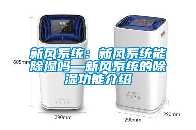 新風系統(tǒng)：新風系統(tǒng)能除濕嗎—新風系統(tǒng)的除濕功能介紹