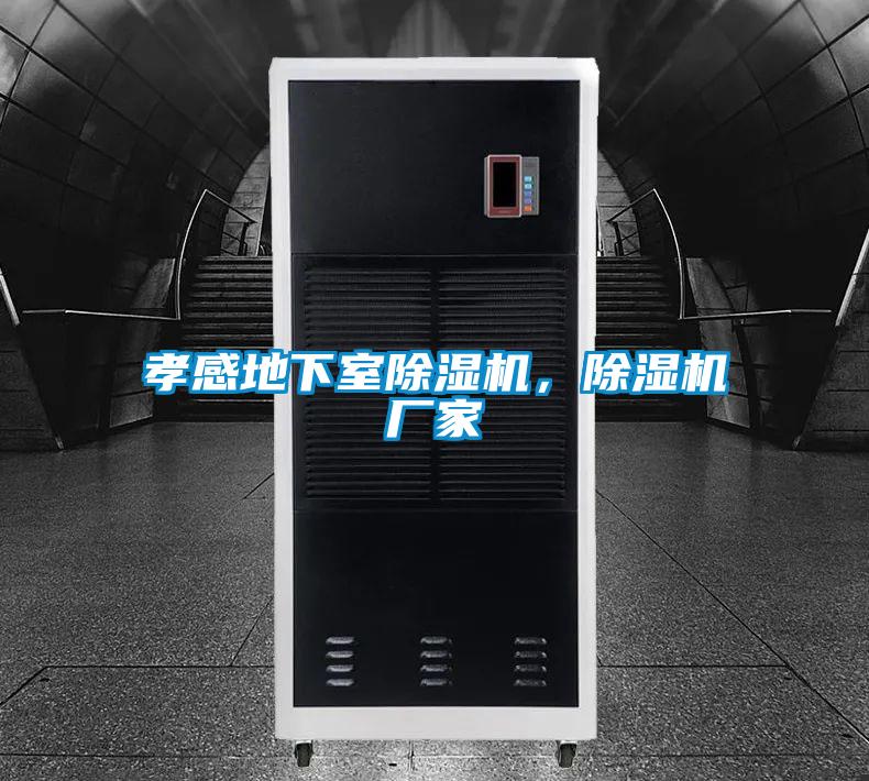 孝感地下室除濕機，除濕機廠家