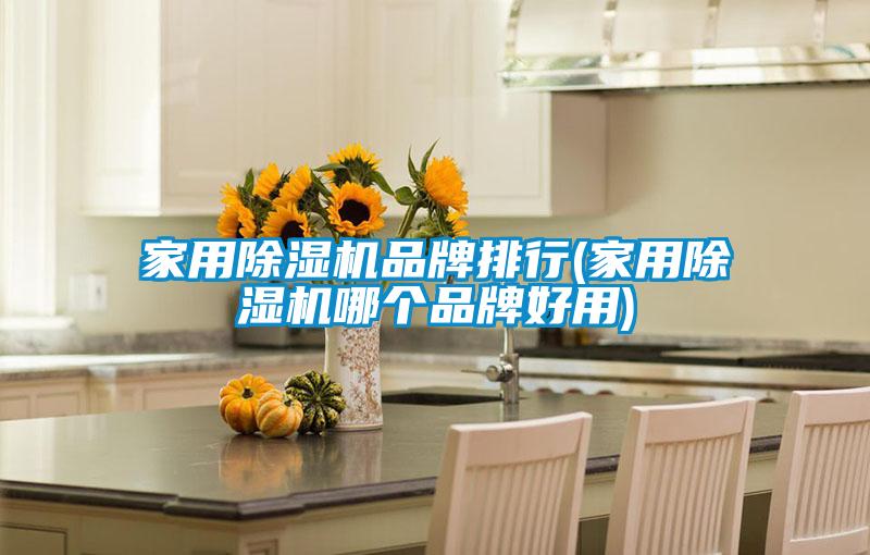 家用除濕機(jī)品牌排行(家用除濕機(jī)哪個品牌好用)
