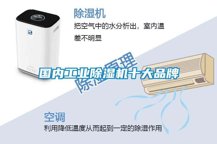 國內(nèi)工業(yè)除濕機(jī)十大品牌