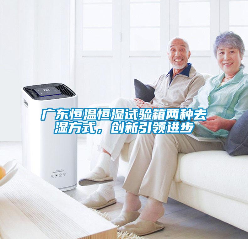 廣東恒溫恒濕試驗箱兩種去濕方式，創(chuàng)新引領(lǐng)進(jìn)步
