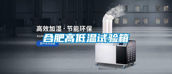 合肥高低溫試驗(yàn)箱
