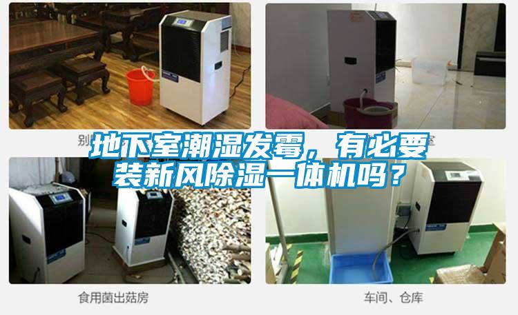 地下室潮濕發(fā)霉，有必要裝新風(fēng)除濕一體機(jī)嗎？