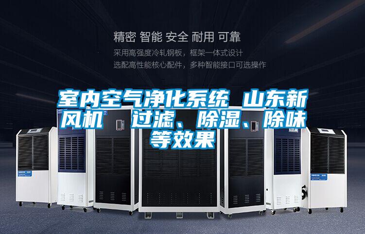 室內(nèi)空氣凈化系統(tǒng) 山東新風(fēng)機(jī)  過濾、除濕、除味等效果