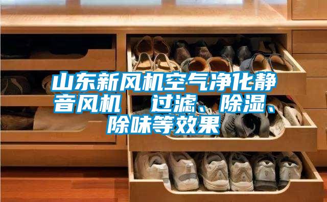 山東新風(fēng)機空氣凈化靜音風(fēng)機  過濾、除濕、除味等效果