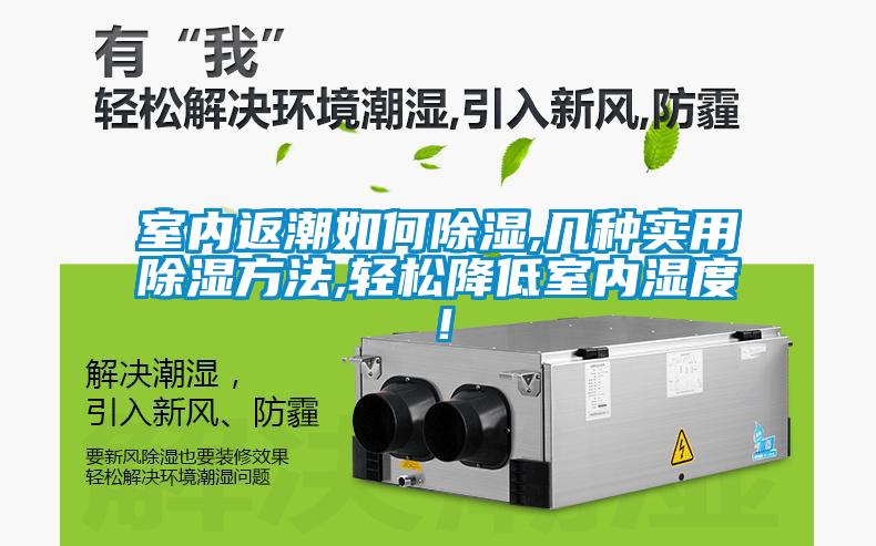 室內(nèi)返潮如何除濕,幾種實用除濕方法,輕松降低室內(nèi)濕度！