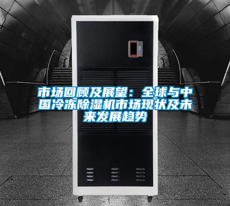 市場回顧及展望：全球與中國冷凍除濕機(jī)市場現(xiàn)狀及未來發(fā)展趨勢